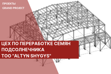 ПРОЕКТИРОВАНИЕ ДЛЯ ТОО «ALTYN SHYGYS», КАЗАХСТАН